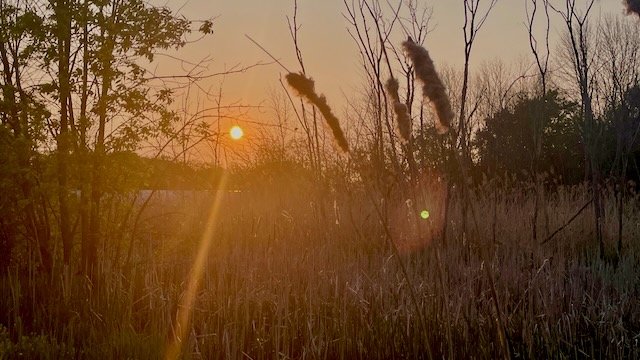 Night Sky over Neenah, Wisconsin
